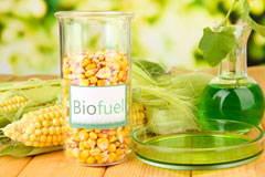 Plas Berwyn biofuel availability