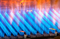 Plas Berwyn gas fired boilers